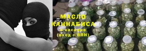 прущие грибы Гусев
