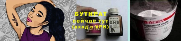 прущие грибы Гусев