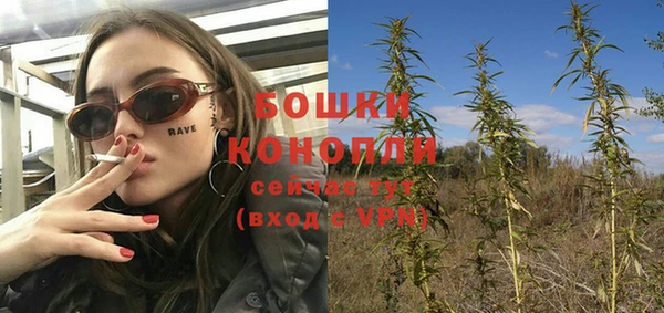 таблы Гусь-Хрустальный
