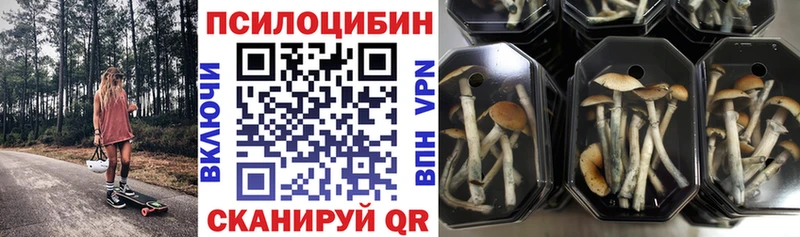 Галлюциногенные грибы мухоморы  дарк нет телеграм  Смоленск 